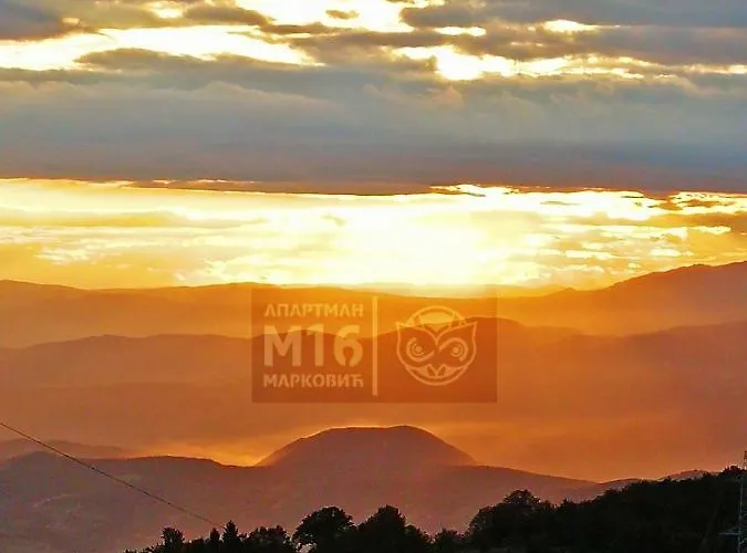 Milmari M16 Markovic コパオニク