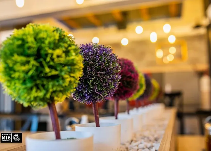 Milmari M16 Markovic アパート コパオニク